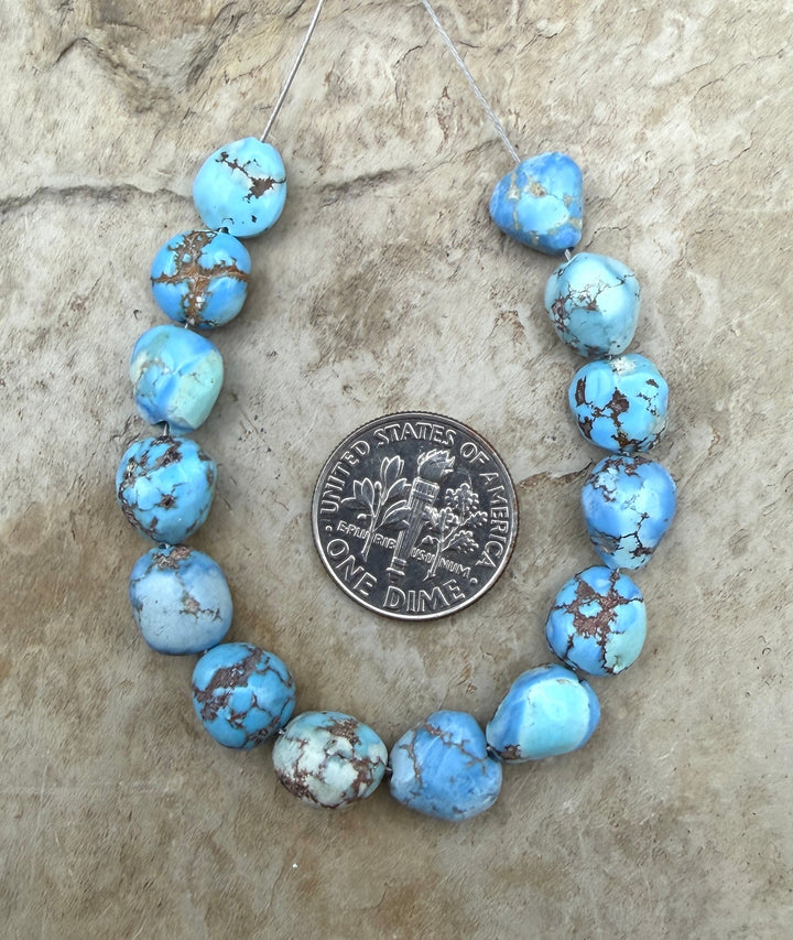 RARE Golden Hills Turquoise (Kazakhstan) Large Rounded