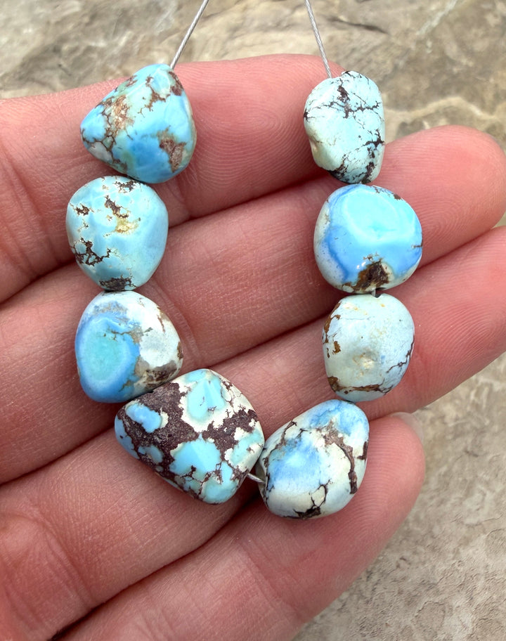 RARE Golden Hills Turquoise (Kazakhstan) Large Rounded