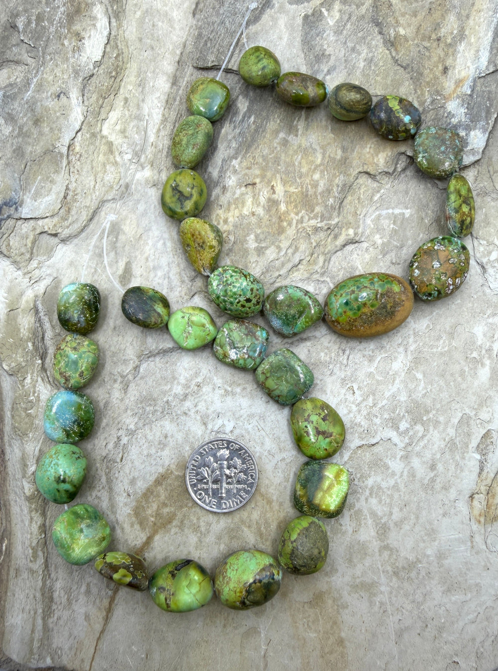 RARE Green Royston Turquoise (NV) Graduated Flat Nugget