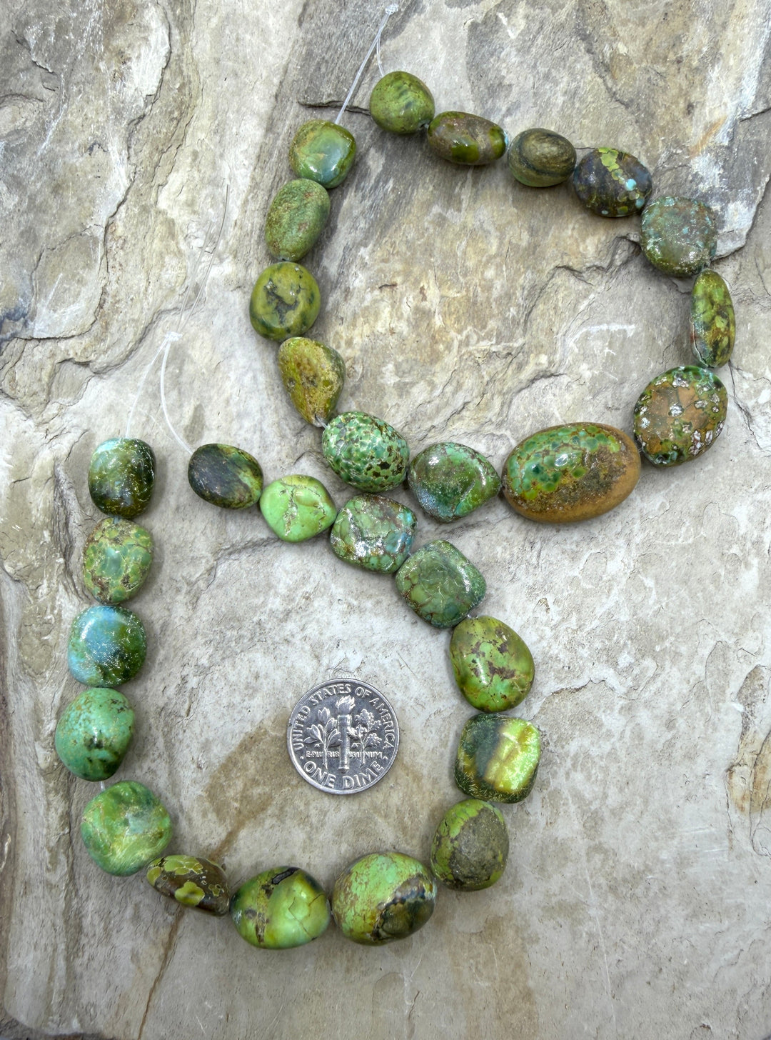 RARE Green Royston Turquoise (NV) Graduated Flat Nugget