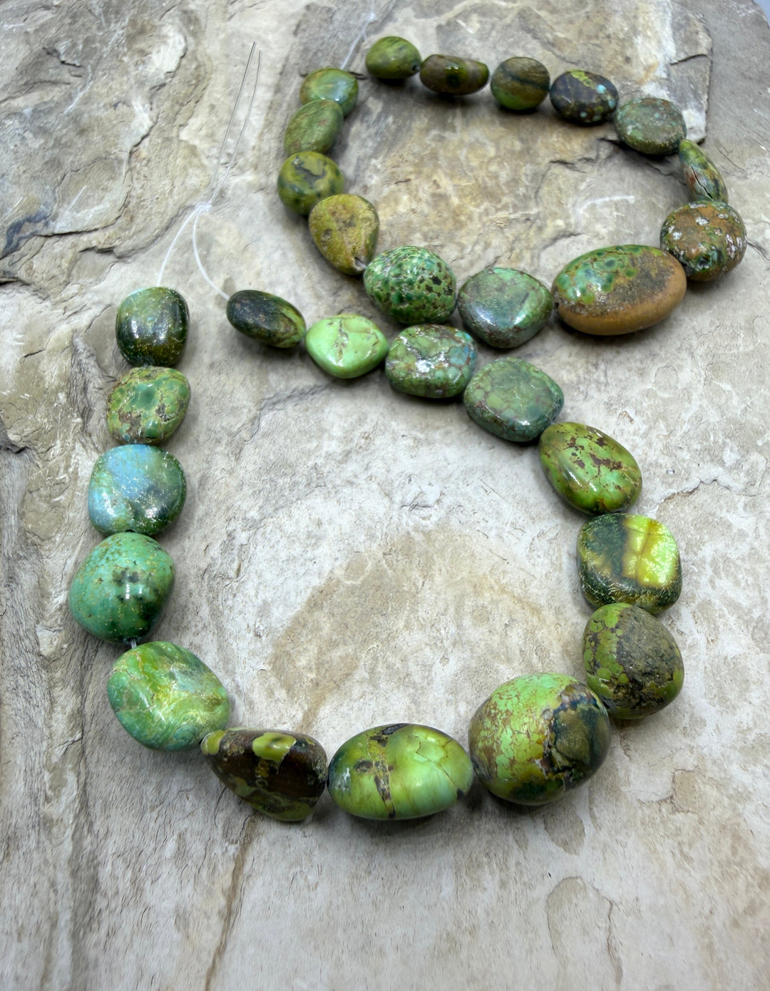 RARE Green Royston Turquoise (NV) Graduated Flat Nugget
