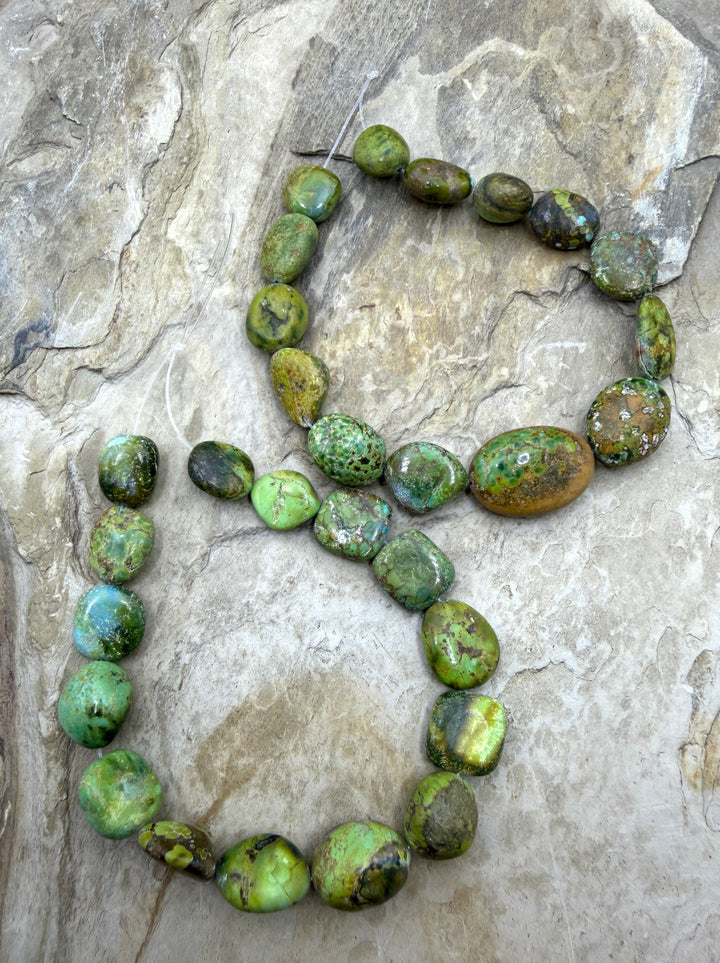 RARE Green Royston Turquoise (NV) Graduated Flat Nugget