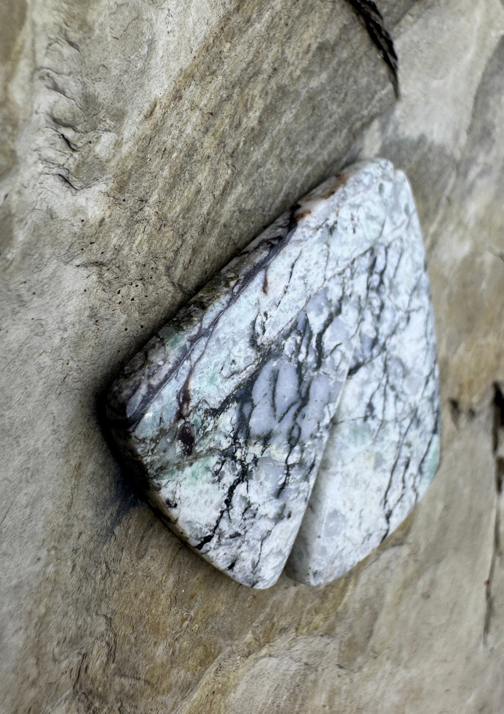 RARE ’Green’ White Buffalo Earring Slab Bead Pair