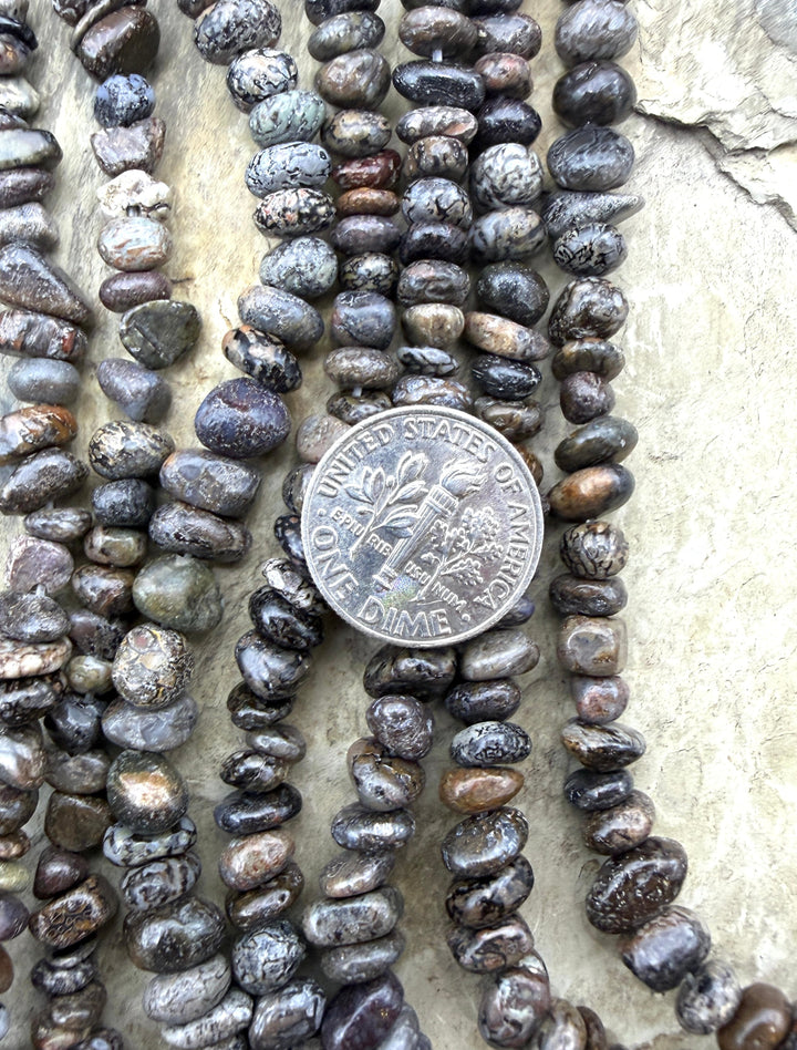 RARE High Pattern Utah Dinosaur Bone 5-6mm Rounded Nugget