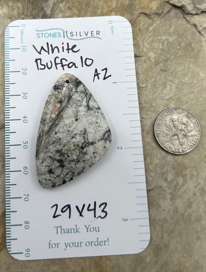 RARE High Quality Natural White Buffalo (Arizona) Focal