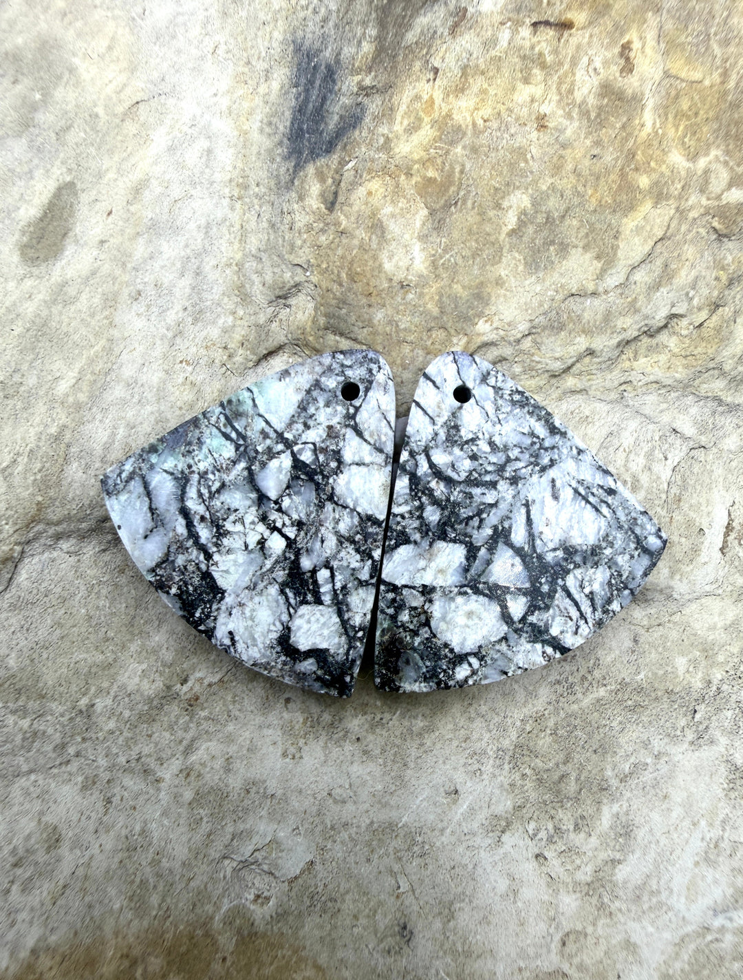 RARE High Quality White Buffalo HUGE Matching Earring Slab