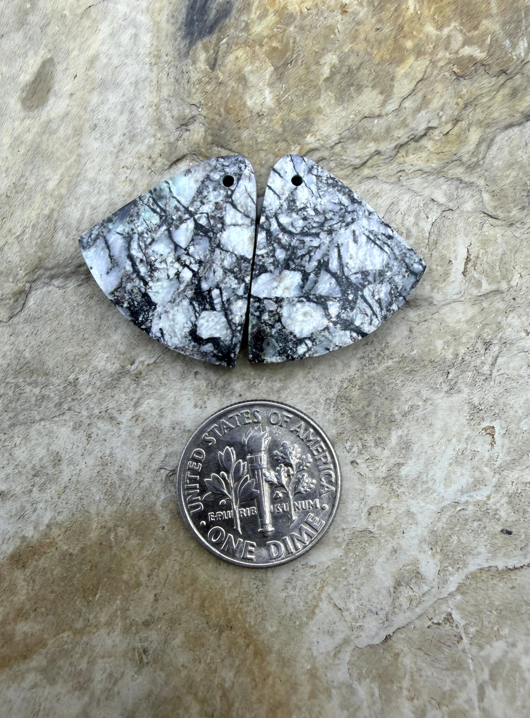 RARE High Quality White Buffalo HUGE Matching Earring Slab
