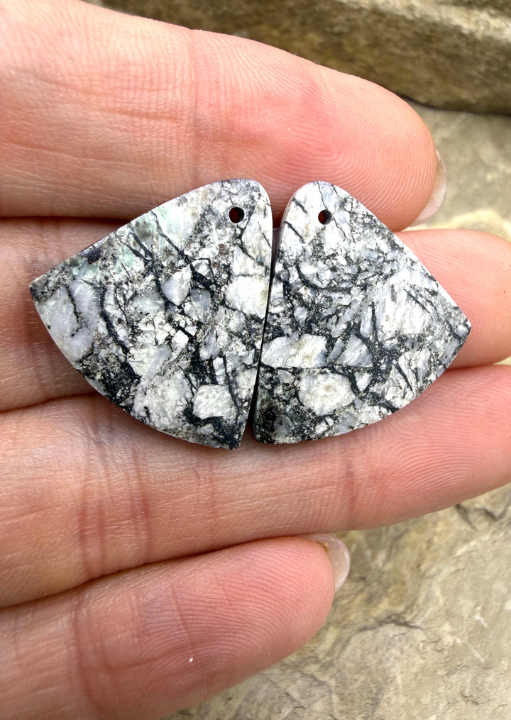 RARE High Quality White Buffalo HUGE Matching Earring Slab