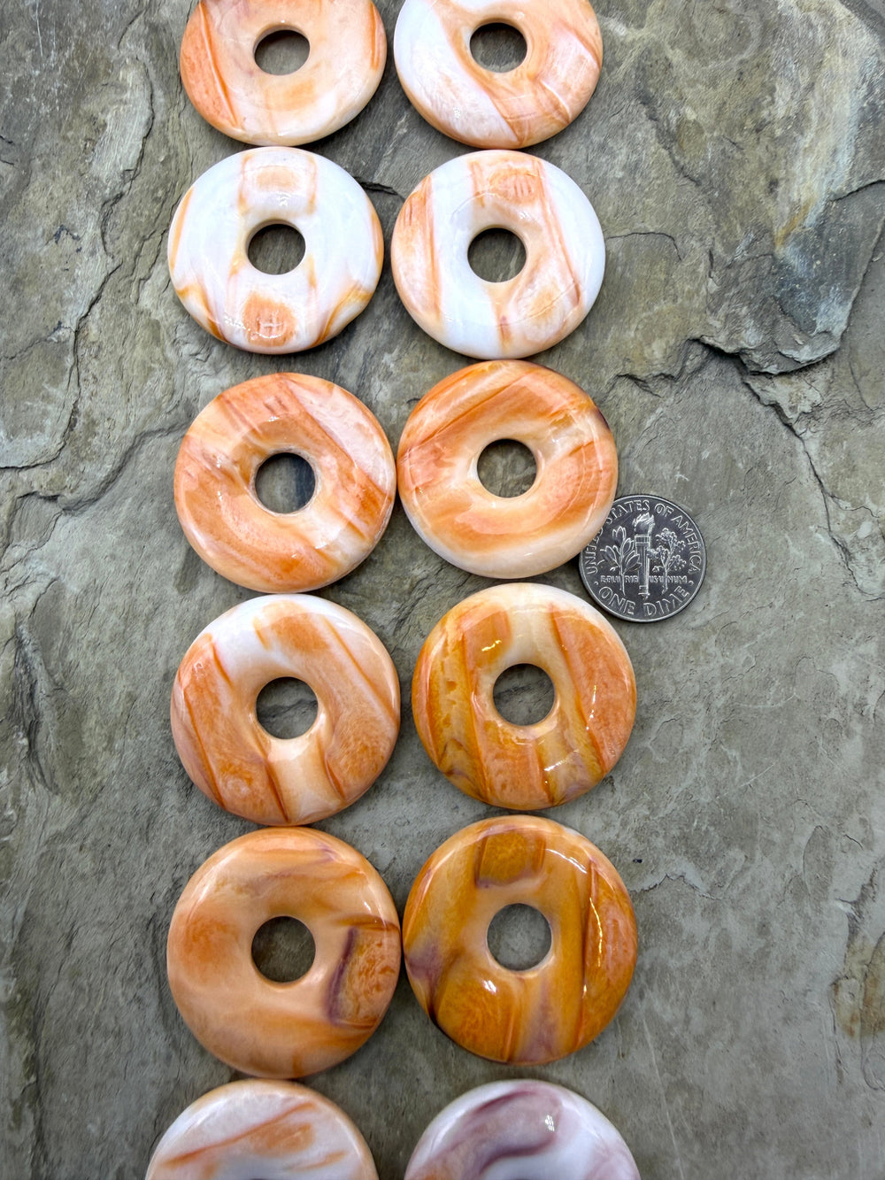 RARE Lions Paw 30mm Donut Pairs One Pair - Lion’s Paw Shell