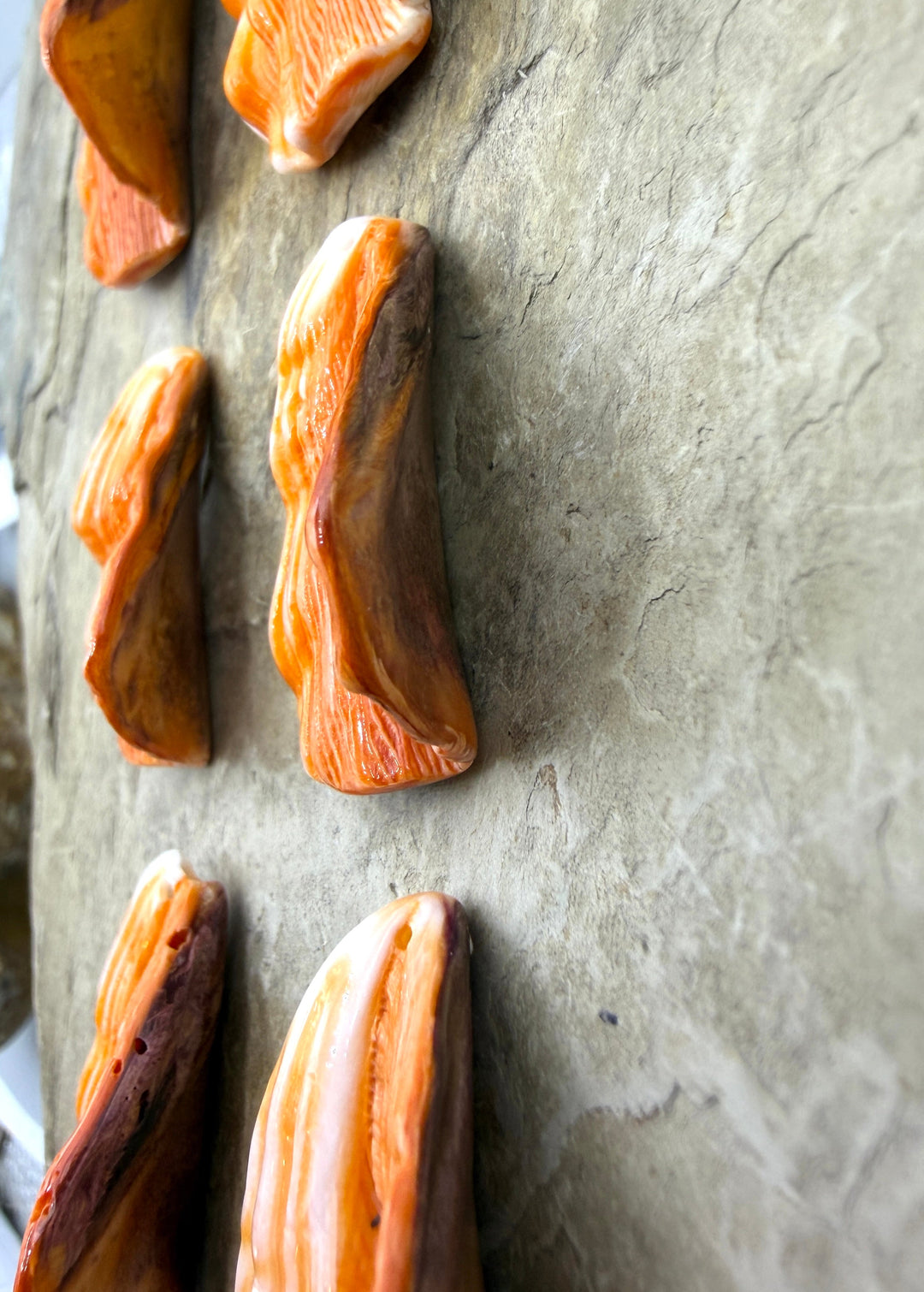 RARE Lions Paw 37x30x7mm Donut Pairs One Pair - Lion’s Paw