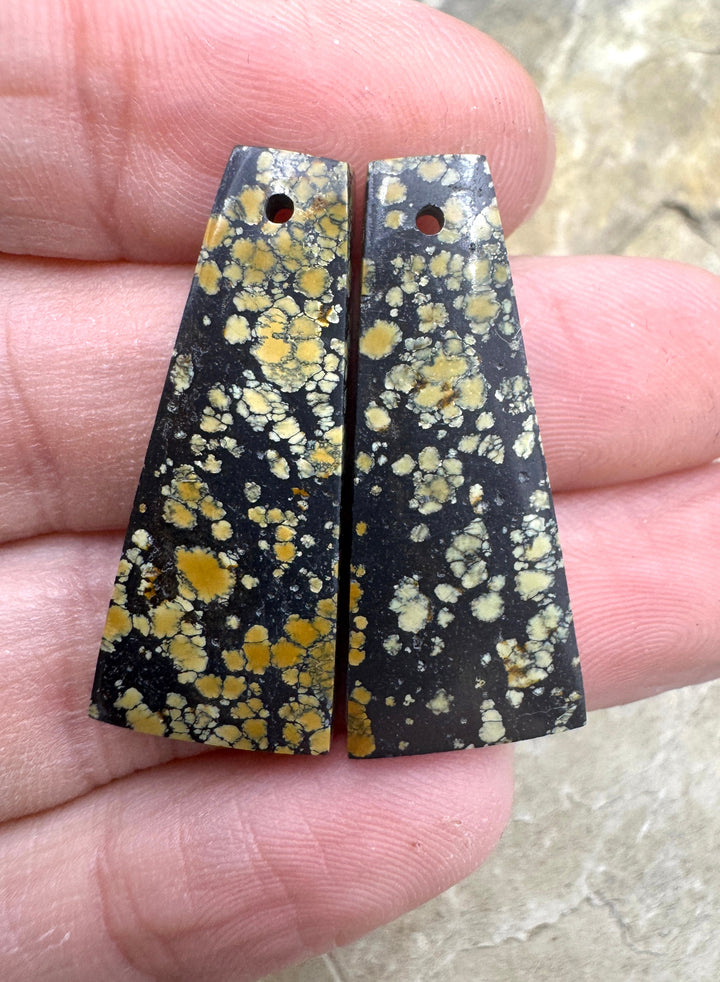 RARE New Lander Turquoise (Nevada) Matching Earring Slab