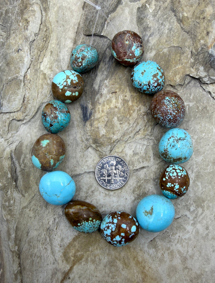 RARE Number 8 Turquoise (Nevada) Graduated Round Nugget