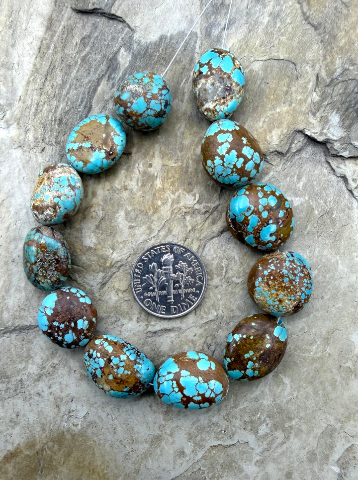 RARE Number 8 Turquoise (Nevada) Graduated Rounded Nugget