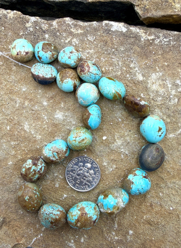 RARE Number 8 Turquoise (Nevada) Graduated Rounded Nugget