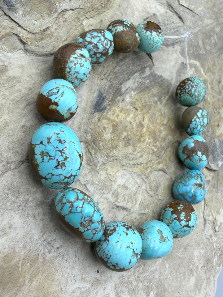 RARE Number 8 Turquoise (Nevada) HUGE Graduated (13-17mm)