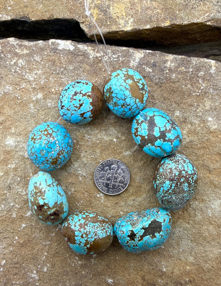 RARE Number 8 Turquoise (Nevada) HUGE Rounded Nugget Beads