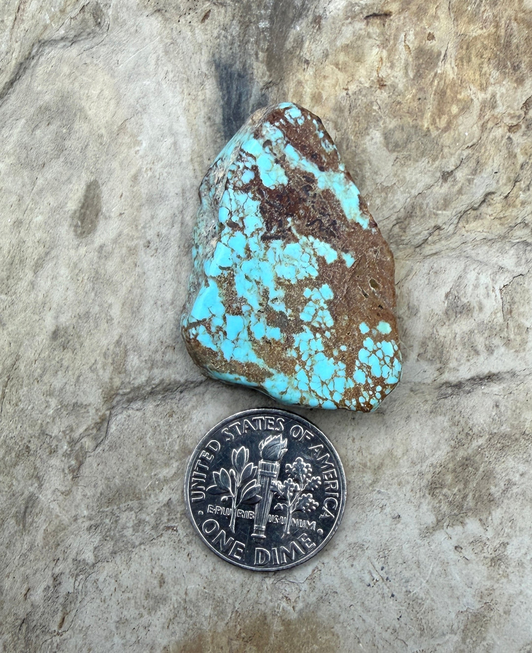 RARE Number 8 Turquoise (Nevada) Slab Beads (Large Hole)