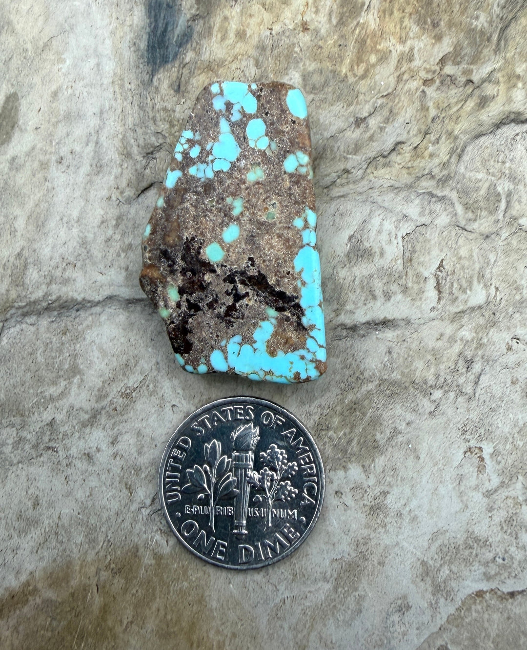 RARE Number 8 Turquoise (Nevada) Slab Beads (Large Hole)