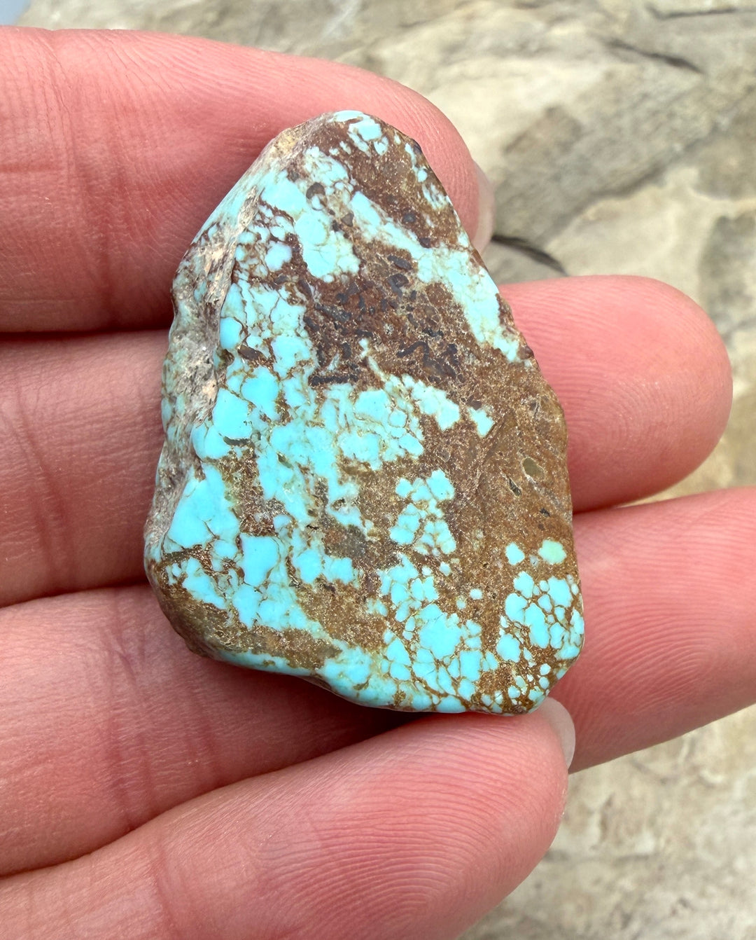 RARE Number 8 Turquoise (Nevada) Slab Beads (Large Hole)