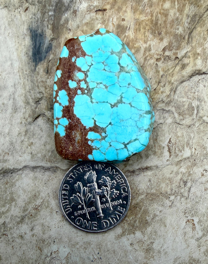 RARE Number 8 Turquoise (Nevada) Slab Beads (Large Hole)