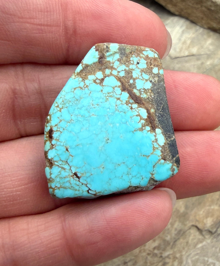 RARE Number 8 Turquoise (Nevada) Slab Beads (Large Hole)