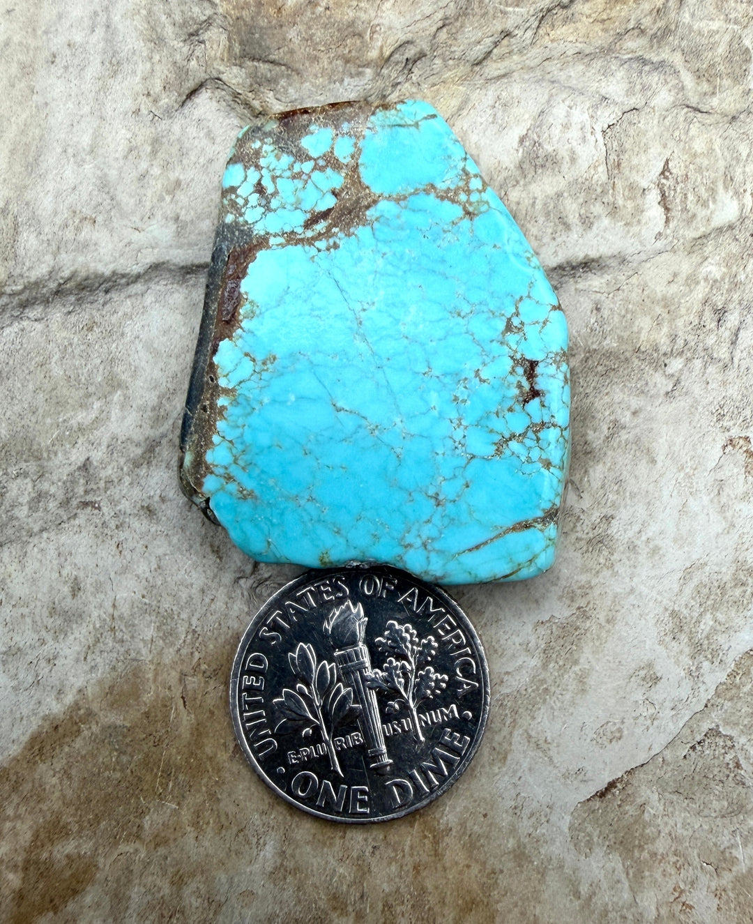 RARE Number 8 Turquoise (Nevada) Slab Beads (Large Hole)