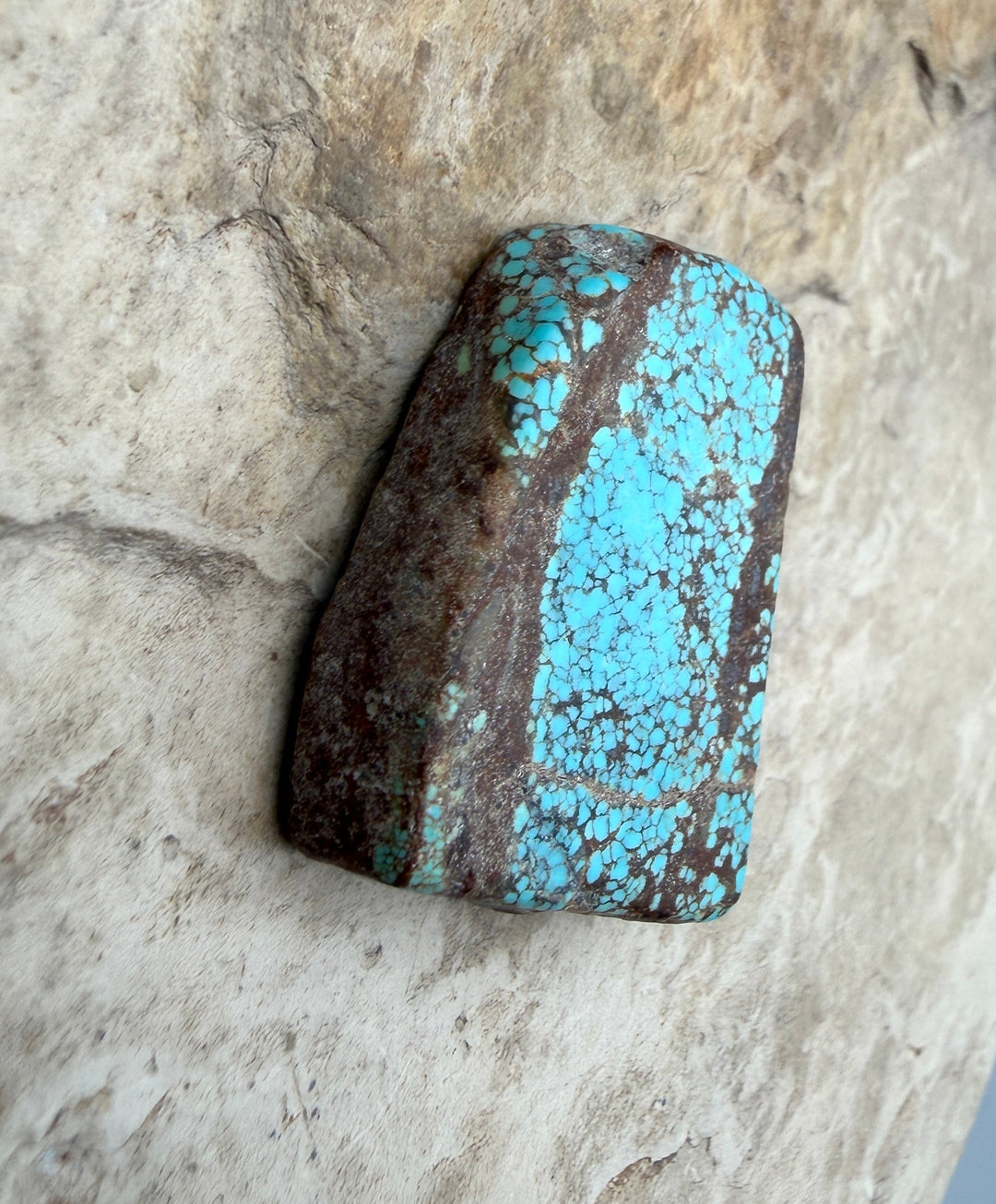 RARE Number 8 Turquoise (Nevada) Slab Beads (Large Hole)