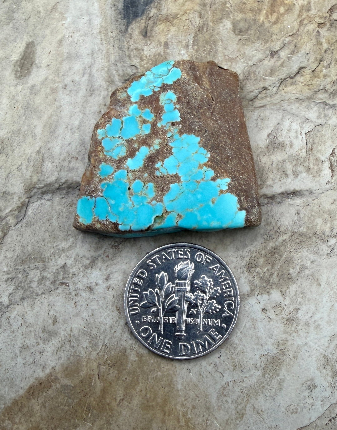 RARE Number 8 Turquoise (Nevada) Slab Beads (Large Hole)