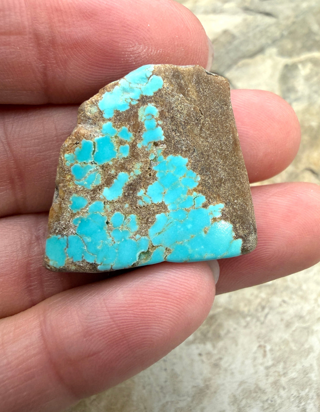 RARE Number 8 Turquoise (Nevada) Slab Beads (Large Hole)