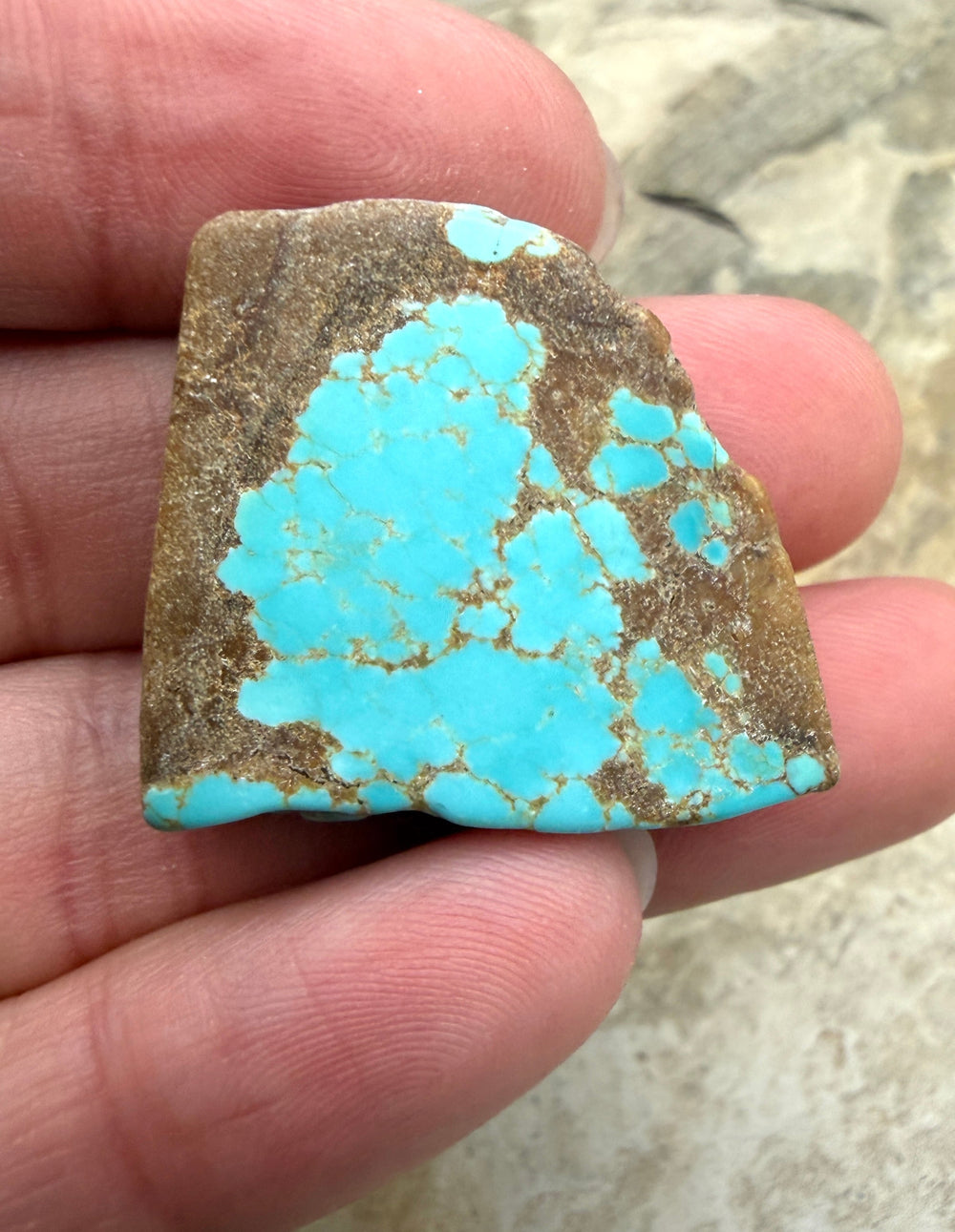 RARE Number 8 Turquoise (Nevada) Slab Beads (Large Hole)