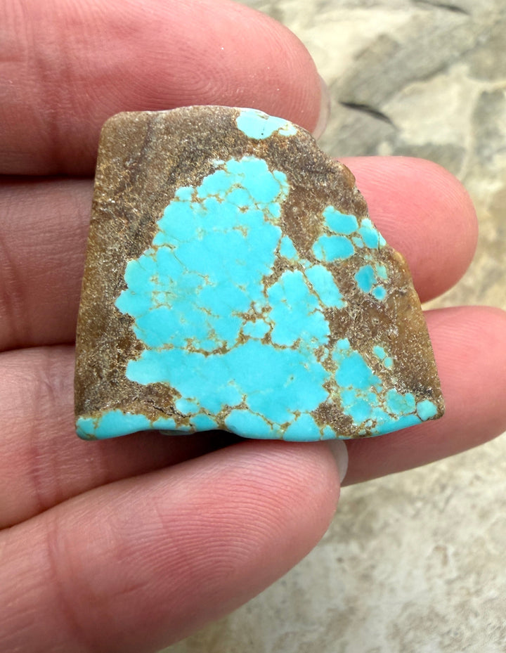 RARE Number 8 Turquoise (Nevada) Slab Beads (Large Hole)
