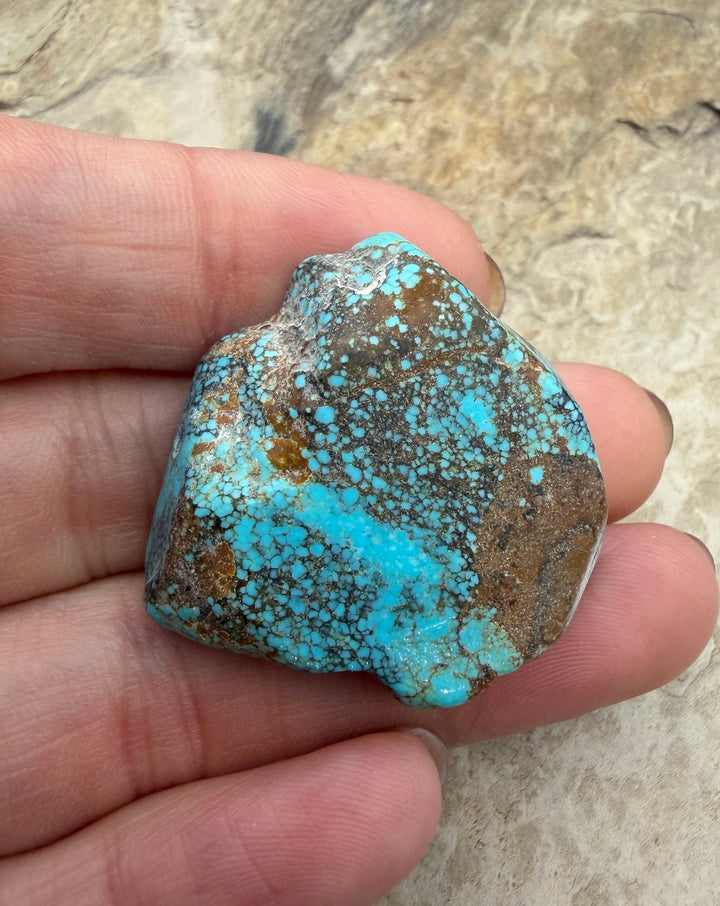RARE Number 8 Turquoise (Nevada) Slab Beads (Large Hole)