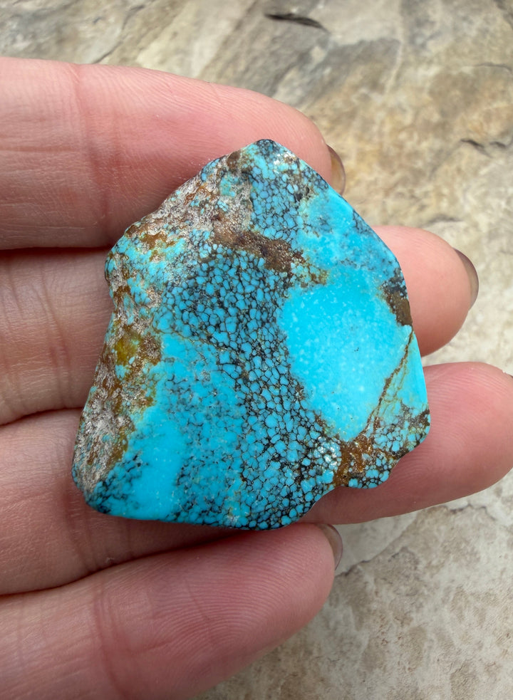 RARE Number 8 Turquoise (Nevada) Slab Beads (Large Hole)