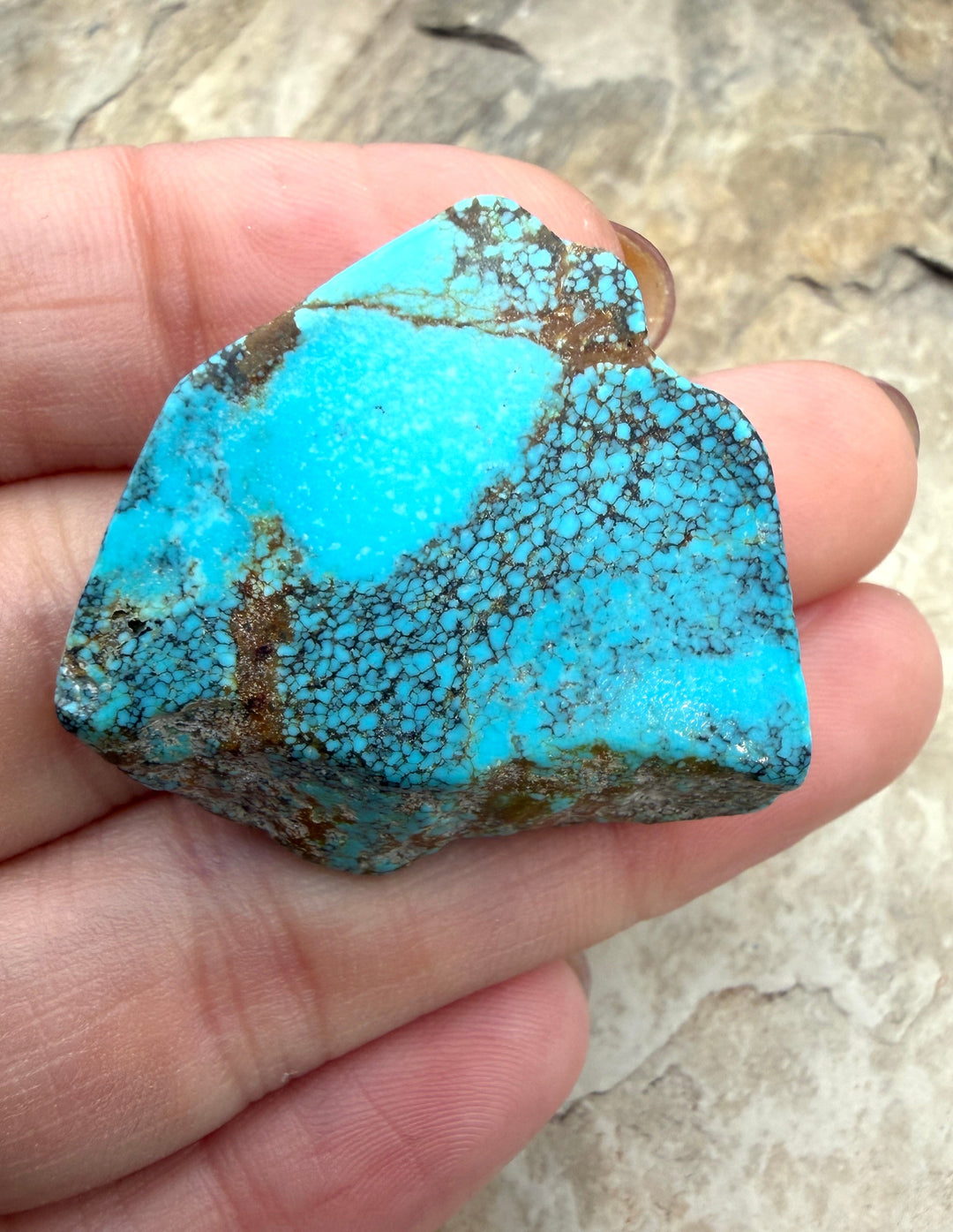 RARE Number 8 Turquoise (Nevada) Slab Beads (Large Hole)