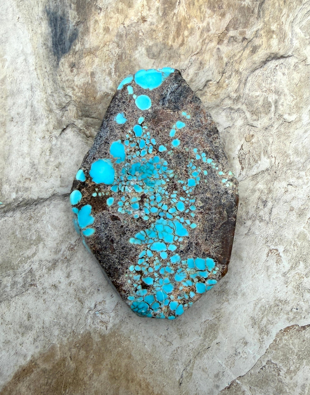 RARE Number 8 Turquoise (Nevada) Slab Beads (Large Hole)