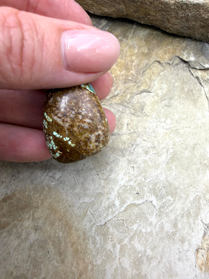 RARE Number 8 Turquoise (Nevada) Smooth Nugget Pendant