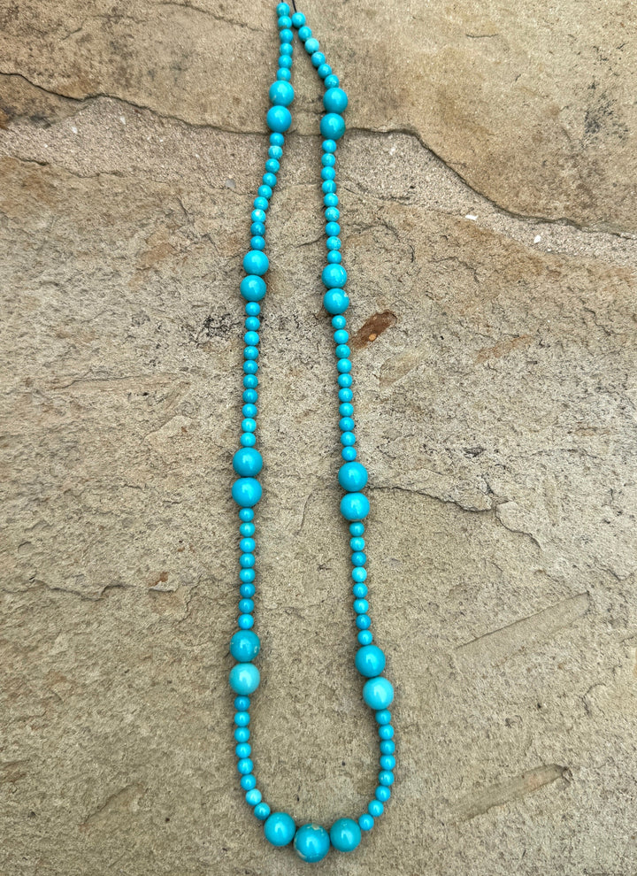 RARE One - Of - A - Kind Nevada Fox Turquoise (NV) Mixed