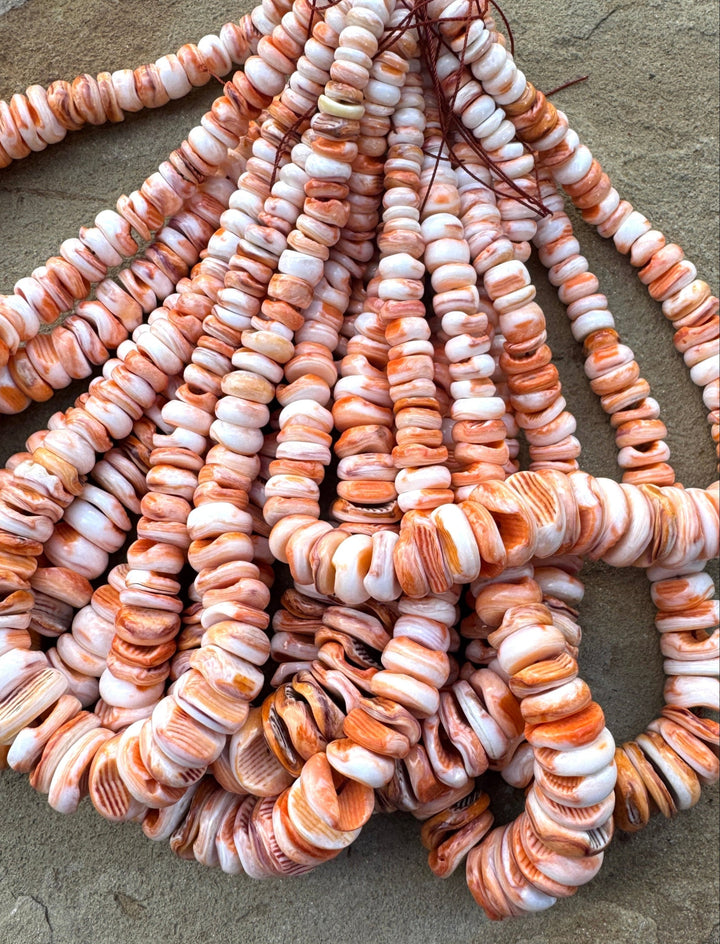 RARE Orange Lions Paw BIG Graduated 8-18mm Irregular