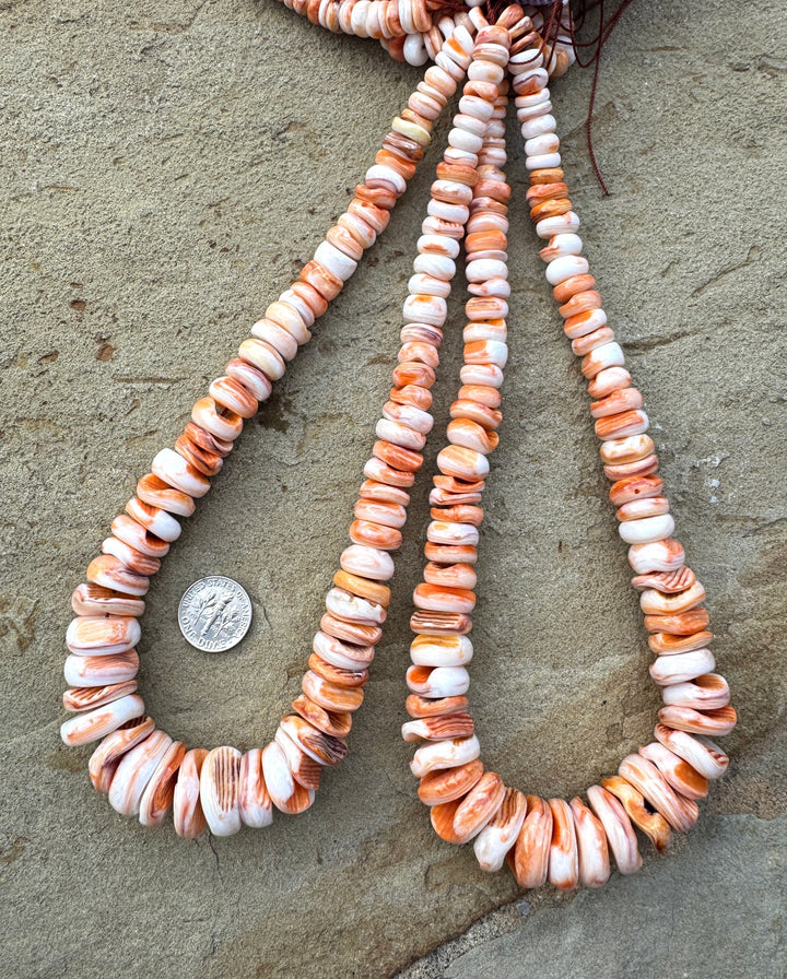 RARE Orange Lions Paw BIG Graduated 8-18mm Irregular