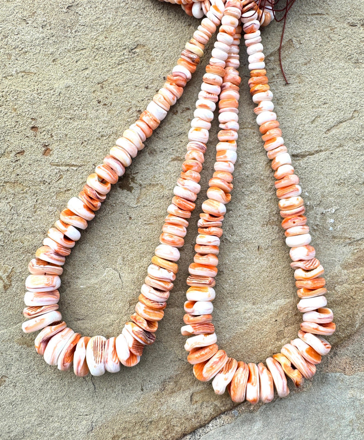 RARE Orange Lions Paw BIG Graduated 8-18mm Irregular