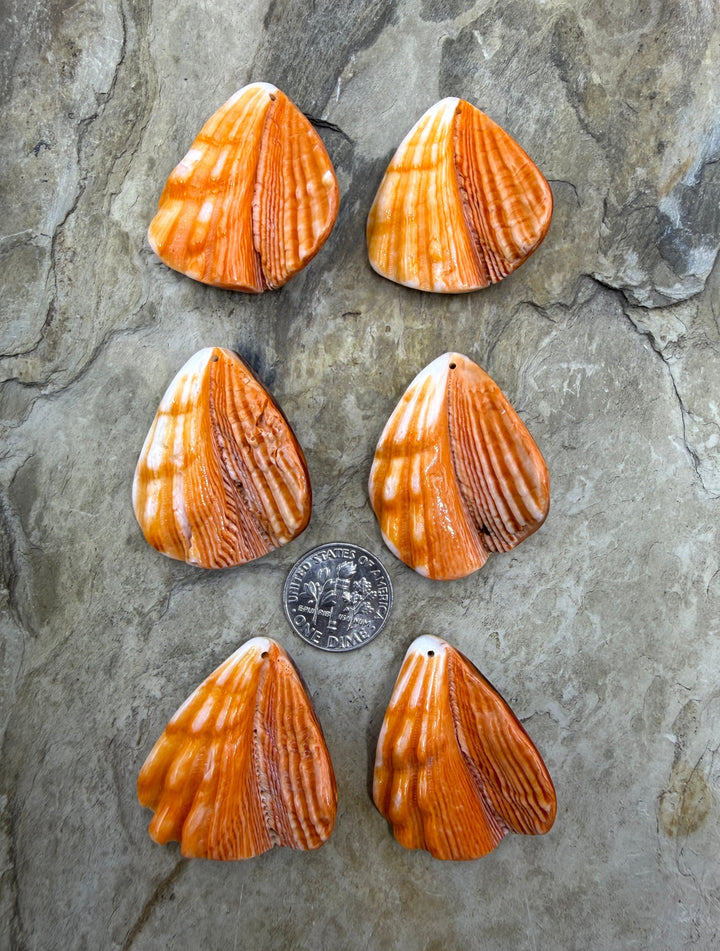 RARE Orange Lion’s Paw Earring Pairs 30x34mm One pair