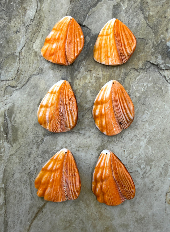 RARE Orange Lion’s Paw Earring Pairs 30x34mm One pair