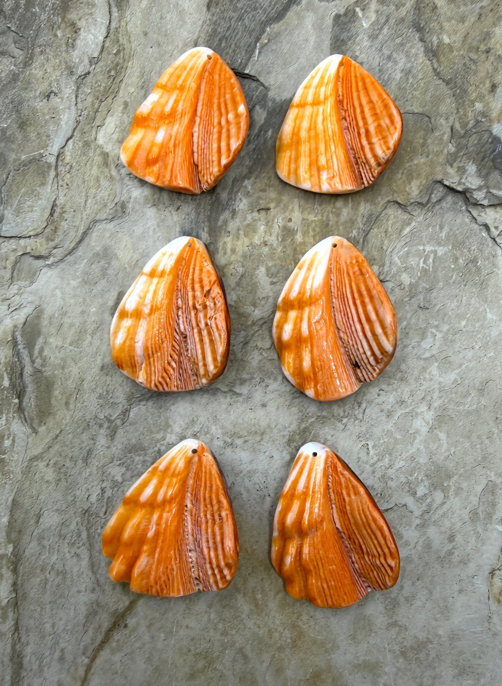 RARE Orange Lion’s Paw Earring Pairs 30x34mm One pair