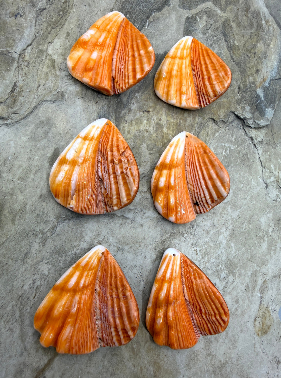 RARE Orange Lion’s Paw Earring Pairs 30x34mm One pair