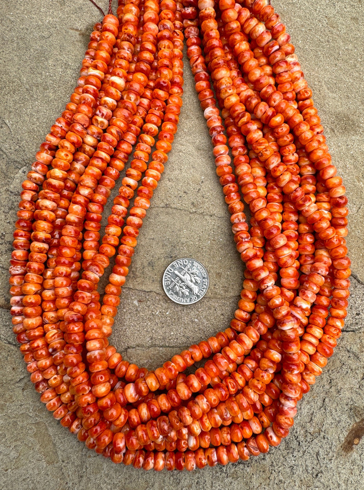 RARE Orange Spiny Oyster 6mm Rondel Beads 16 inch Strand