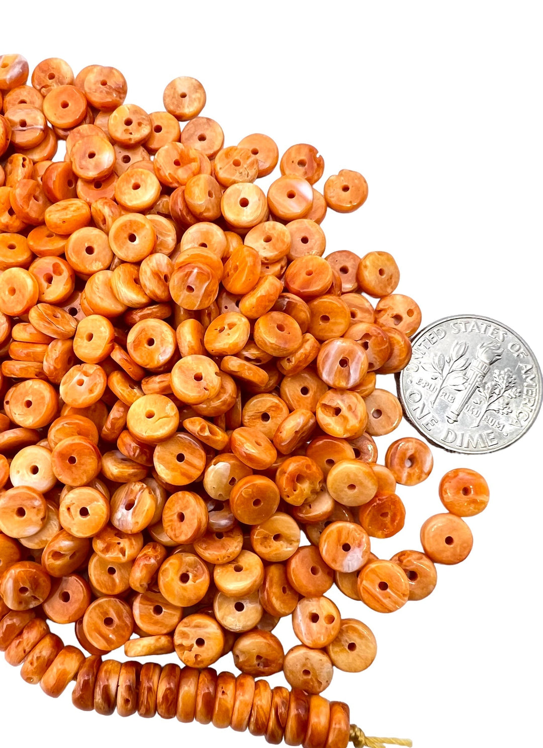 RARE Orange Spiny Oyster 6mm Wheel Beads (Package of 18