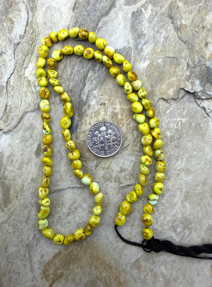 RARE Palomino Variscite 35-6mm Smooth Nugget Bead 18 Inch