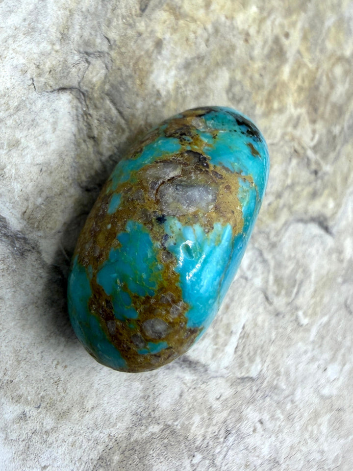 RARE Royston Turquoise (NV) HUGE Focal Bead 16x25x12mm