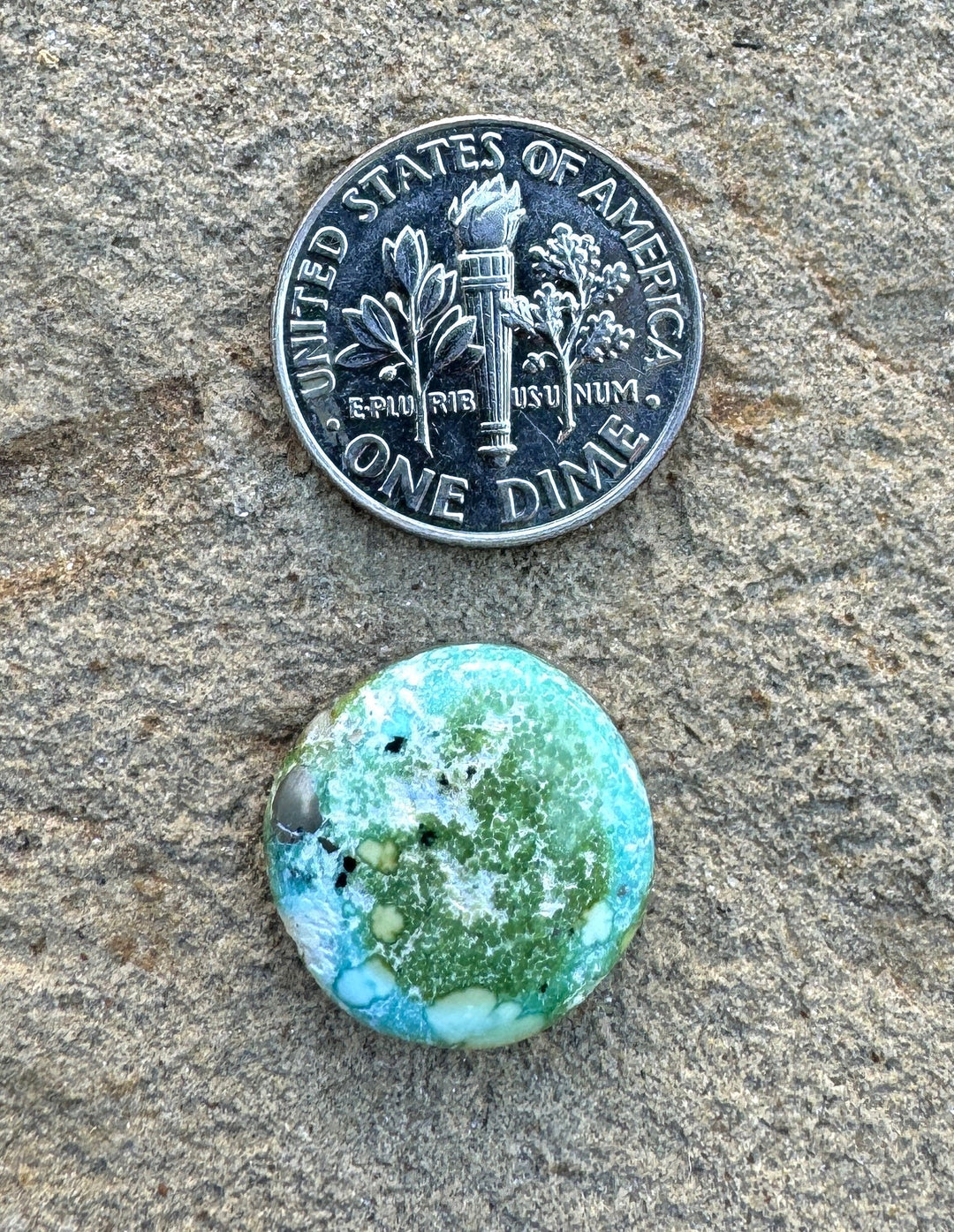 RARE Sonoran Gold Turquoise (Mex) Cabochon 16mm - Turquoise