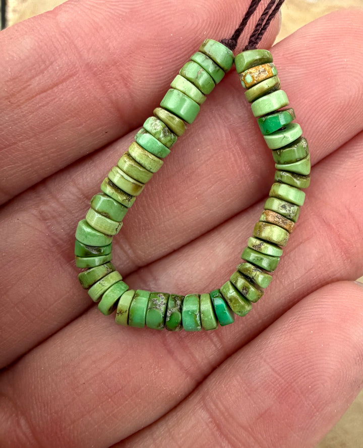 RARE Sonoran Gold Turquoise (Mex) Heishi 4mm 3 Inch Strand